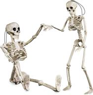 хэллоуинские скелеты hyperzoo skeleton posable логотип