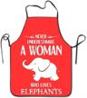 woman elephants cooking aprons painting logo