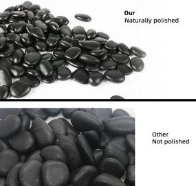 img 2 attached to 🪨 CJGQ Black Pebbles for Plants 7lb - Bulk Bag of Aquarium Gravel 1-1.5 inch - Decorative Polished Stone for Fish Tanks - River Rocks