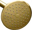 showermaxx maxx imize restrictor replacement showerhead bath for bathroom accessories logo
