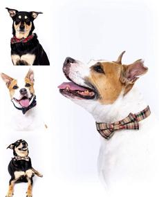 img 2 attached to Scottish Detachable Comfortable Pattern Adjustable Dogs