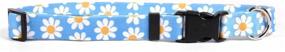 img 1 attached to 🌼 Vibrant Blue Daisy Dog Collar by Yellow Dog Design