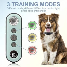 img 3 attached to 🐶 Lu&Ba Waterproof Dog Shock Collar - 3000ft Remote Training Collar, Rechargeable with 3 Safe Modes, Beep Vibration, and 16 Shock Levels for Small Medium Large Dogs (10-110lb)