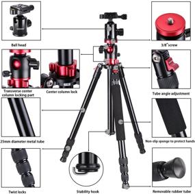 img 2 attached to 📷 Neewer Camera Tripod Monopod: 75 inches, Rotatable Center Column, 360° Ball Head - Perfect for Panoramic Shooting, DSLR Camera & Video Camcorder Compatible