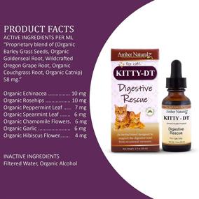 img 2 attached to 🐱 Kitty-DT Botanical Digestive Support for Felines - Natural Pet Supplement, 1 oz