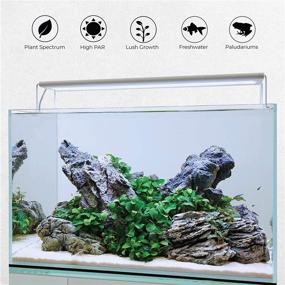 img 3 attached to 🐠 SereneSun LE PRO Freshwater Plant Aquarium LED Light by CURRENT USA with 24 Hour Timer Control, Full Spectrum High Output including 460nm Red, Wireless Remote, and Tall Fish Tank Brackets