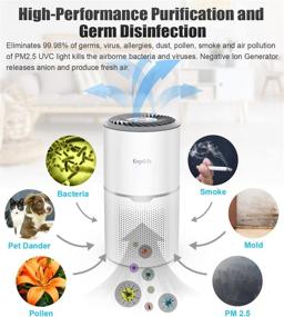 img 4 attached to 🌬️ ERGO LIFE White Air Purifier for Allergies with True HEPA Filter, UV Light Sanitizer, Ionizer + Carbon - Eliminates 99.98% Germs, Dust, Smoke, Pet Dander - Quiet Air Cleaner for Large Rooms