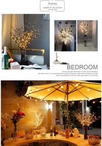 img 1 attached to 🌿 ZEERKEER Led Branch Lights 2 Pack - Battery Powered 40 LED Twig Lights for Home Decoration - Warm White Willow Branches Decorative Lights for Holiday Party