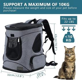 img 3 attached to 🐾 Petsfit Comfortable Dog Cat Backpack Carrier: Ultimate Travel Companion for Pets up to 22 Pounds