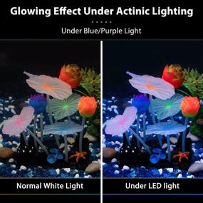 img 2 attached to 🌸 Enhance your Fish Tank with Uniclife Glowing Lotus Ornament: Aesthetic Aquarium Silicone Decor with Suction Cup