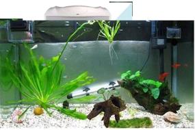 img 1 attached to 🐠 CoutureBridal 1 Pair Decaying Trunk Aquarium - Betta Fish Ornament & Freshwater Decoration