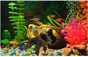 img 2 attached to 🐠 CoutureBridal 1 Pair Decaying Trunk Aquarium - Betta Fish Ornament & Freshwater Decoration