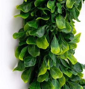 img 3 attached to Bhappy Boxwood Wreath 15 inch: Artificial Greenery for Elegant Indoor Decor and Celebrations