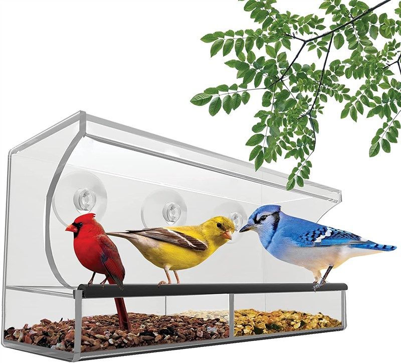 natures hangout weatherproof feeders watching 로고