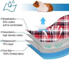 img 1 attached to Blaoicni 4-я пачка наполнителя для морских свинок: водонепроницаемые, впитывающие и многоразовые коврики для клеток, обеспечивающие чистую и сухую обстановку!