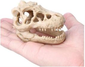 img 2 attached to Resin Artificial Dinosaur Skull Skeleton Ornament for Aquarium - Enhance Your Fish Tank with a Skeleton Hole Decoration!