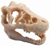 resin artificial dinosaur skull skeleton ornament for aquarium - enhance your fish tank with a skeleton hole decoration! logo