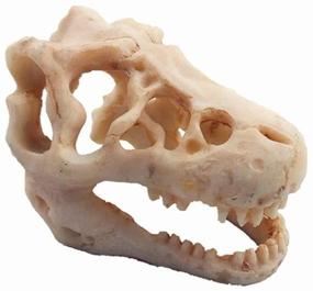 img 4 attached to Resin Artificial Dinosaur Skull Skeleton Ornament for Aquarium - Enhance Your Fish Tank with a Skeleton Hole Decoration!