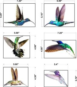 img 2 attached to 🐦 Предотвращение столкновений с птицами с помощью оконных стикеров с колибри - статические, устойчивые к УФ-лучам, виниловые неклеевые декали - отпугивающая наклейка и стеклянный декор для защиты птиц - Оконное предупреждение (1)