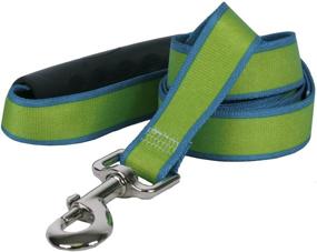 img 1 attached to 🐾 Sterling Stripes Spring Green Teal Dog Leash by Yellow Dog Design: Enhanced with Comfort Grip Handle