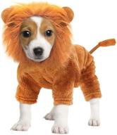 🦁 idepet pet costume - halloween dog cosplay lion costume, christmas puppy funny cosplay outfit for small dogs. cats funny apparel for dressing up parties - pet clothes suit логотип