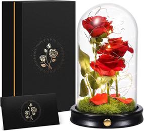 img 4 attached to 🌹 Flower Glass Rose Gift for Women - Galaxy Theme: Ideal Christmas & Thanksgiving Present, Enchanted Dome Forever Preserved - Perfect for Mother, Mom, Her Birthday; Sent from Daughter for Wedding Anniversary, Delivery Day - Beauty and The Beast