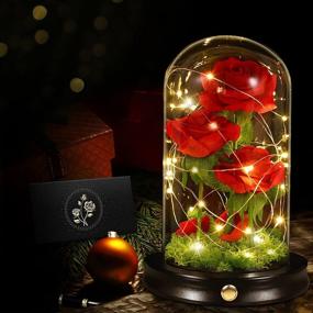 img 3 attached to 🌹 Flower Glass Rose Gift for Women - Galaxy Theme: Ideal Christmas & Thanksgiving Present, Enchanted Dome Forever Preserved - Perfect for Mother, Mom, Her Birthday; Sent from Daughter for Wedding Anniversary, Delivery Day - Beauty and The Beast