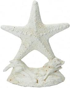 img 2 attached to 🌟 10-inch Cast Iron Starfish Doorstop with Whitewash Finishing