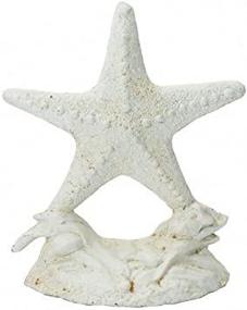 img 4 attached to 🌟 10-inch Cast Iron Starfish Doorstop with Whitewash Finishing