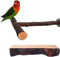nynelly platform natural playground parakeets logo