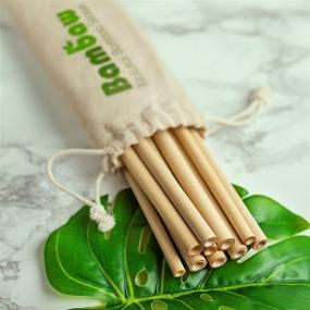 img 2 attached to 🌿 Bambaw Reusable Bamboo Drinking Straws - Set of 12, BPA Free, Eco-Friendly Alternative to Plastic Straws, Strong & Durable, Multi-Usage Straws in 5.5 and 8.7 Inch Sizes