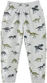 img 4 attached to WAWSAM Dinosaur Boy Pants Sweatpants