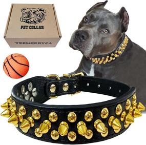 img 4 attached to 🔒 TEEMERRYCA Leather Dog Collar: Gold Spiked for Small, Medium, and Large Pets - Protect Your Pit Bulls/Bulldogs from Aggressive Encounters