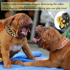 img 2 attached to 🔒 TEEMERRYCA Leather Dog Collar: Gold Spiked for Small, Medium, and Large Pets - Protect Your Pit Bulls/Bulldogs from Aggressive Encounters