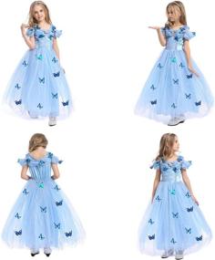 img 1 attached to 🦋 Glamorous & Magical: Guest Dream Cinderella Butterfly Halloween – Your Ultimate Costume Affair!