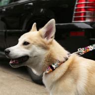 stylish floral dog collar and leash set - water-resistant and vibrant female dog accessories, available in various sizes logo