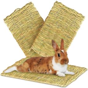 img 3 attached to 🐰 Meric Rabbit Grass Mats: Edible Seagrass Floor Pads and Multipurpose Toys - Sensitive Feet Protection | 3 Pcs Per Pack