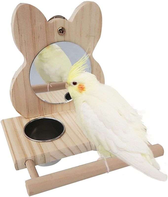 hamiledyi stainless parakeet cockatiels lovebird 로고