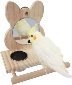 img 4 attached to Enhance Simulated Habitat: Hamiledyi Parrot Mirror Toy with Stainless Steel Feeding Cups and Bird Wooden Frames for Macaw, African Greys, Budgies, Parakeet, Cockatiels, Conure, Lovebird, Finch - Perfect Cage Perch!