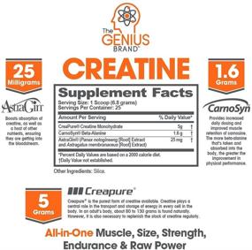 img 3 attached to 💪 Genius Creatine Powder: Premium Post-Workout Recovery Drink for Lean Muscle Gain, Creapure Monohydrate & Beta Alanine | Natural Anabolic Mass Gainer for Men & Women - Ultimate Muscle Builder, 170G