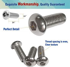 img 1 attached to Rustproof License Plate Screws- Stainless Steel Car Tag Bolts For Locking Front Or Rear Frame