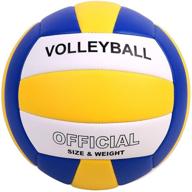 volleyball volleyballs training beginner teenager logo