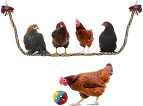 img 4 attached to 🐔 BWOGUE Chicken Swing Large Rope Perch: Bungee Climbing Ropes with Play Chicken Ball Toys - Parrot Bird Toy (59 Inches)