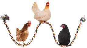 img 2 attached to 🐔 BWOGUE Chicken Swing Large Rope Perch: Bungee Climbing Ropes with Play Chicken Ball Toys - Parrot Bird Toy (59 Inches)