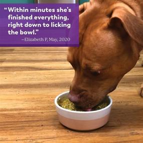 img 1 attached to 🐶 Dr. Harvey's Specialty Diet Healthy Weight Chicken Recipe: Premium Dehydrated Dog Food with Human-Grade Chicken