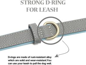 img 1 attached to 🐶 Linkfun 2 Pack Leather Dog Collar: Classic Soft Padded Breathable Waterproof Collars for Small Medium Large Dogs