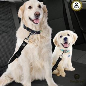 img 3 attached to SunGrow Car Seat Belts for Dogs and Cats: Adjustable Nylon Belts, 19 to 31 inches, All Cars, 2 Pack