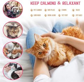 img 1 attached to 🐱 Kewaii Calming Collar for Cats - 60-Day Effective Relief from Anxiety | Natural and Waterproof | Persistent Pheromone | Adjustable Calm Collar (Up to 15 Inches)