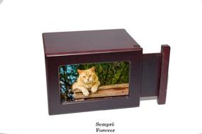 img 2 attached to 🌈 Peaceful Pet Memorial Keepsake Urn: Cherish Memories with This Large Cherry Colored Pet Urn