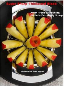 img 2 attached to 🍏 TIAN CHEN Apple Slicer and Corer: Premium Stainless Steel 12-Blade Cutter for Effortless Fruit Coring and Slicing